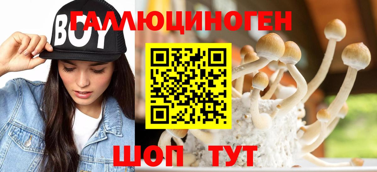 Ишимбай  Псилоцибиновые грибы GOLDEN TEACHER  Вход с VPN 